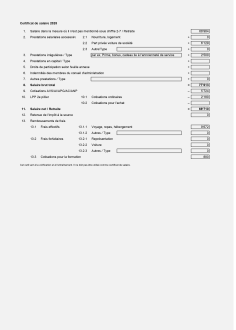 Modèle de solution pour certificat de salaire 